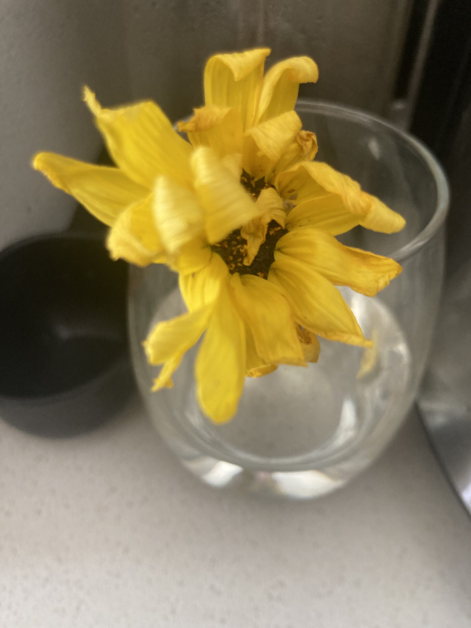 what joseph might do; an invisible love triangle